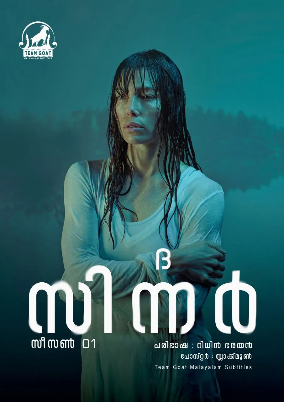 THE SINNER (SEASON 1) – ദി സിന്നർ (സീസൺ 1) (2017) poster